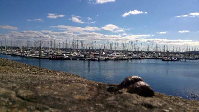Le beau temps s'est installé sur Brest et sa région ces derniers jours.