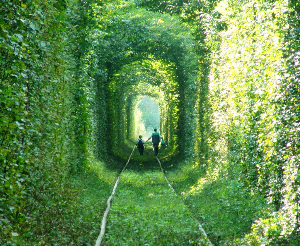 Tunnel-of-Love-chemin-de-fer-nature.jpeg
